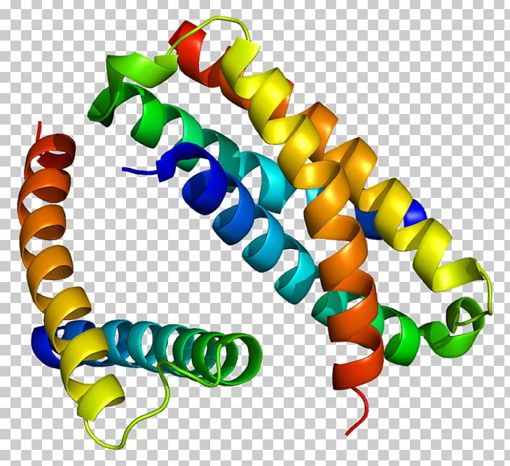 SH2B2 SH2 Domain Protein Janus Kinase 2 SH2B1 PNG, Clipart, Artwork, Body Jewelry, Dualspecificity Kinase, Gene, Janus Kinase Free PNG Download