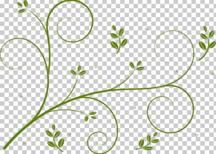 Borders And Frames Vine Flower Drawing PNG, Clipart, Art Green, Borders, Borders And Frames, Branch, Circle Free PNG Download