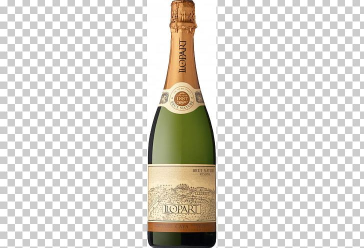 Cava DO Champagne Macabeo Penedès DO Wine PNG, Clipart, Alcoholic Beverage, Brut, Cava, Cava Brut, Cava Do Free PNG Download