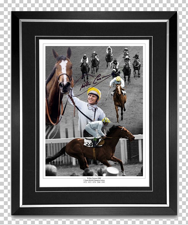 Jockey 2010 Grand National Queen Mother Champion Chase King George VI Chase Horse Racing PNG, Clipart, Autograph, Bridle, Carson, Equestrian Sport, Frame Free PNG Download