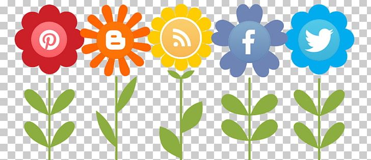 Social Media Marketing Advocacy PNG, Clipart, Advertising, Advocacy, Business, Flora, Floral Design Free PNG Download