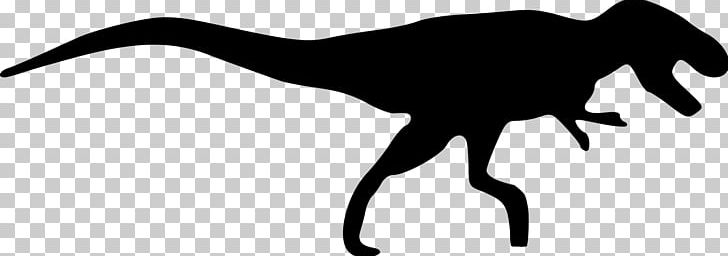 Tyrannosaurus Kentrosaurus Dinosaur Triceratops Carnotaurus PNG, Clipart, Black And White, Carnotaurus, Ceratosaurus, Dinosaur, Evolution Of Dinosaurs Free PNG Download
