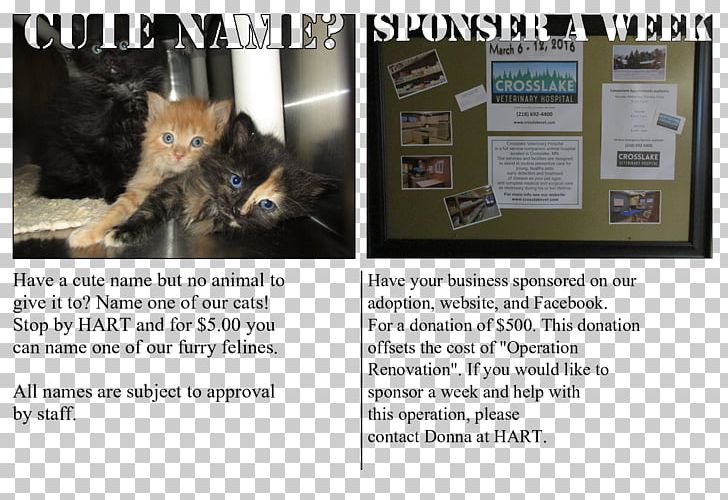 Cat Advertising Fur Font PNG, Clipart, Advertising, Animals, Cat, Cat Like Mammal, Fur Free PNG Download