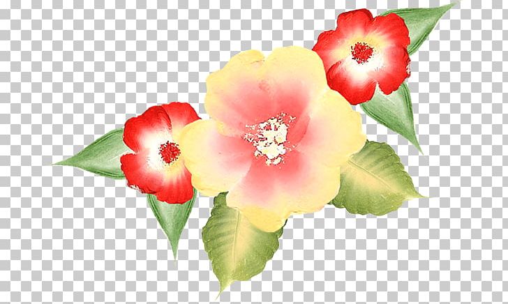 Flower Petal Weapon PNG, Clipart, Decimal, Flower, Flowering Plant, Herbaceous Plant, Liveinternet Free PNG Download