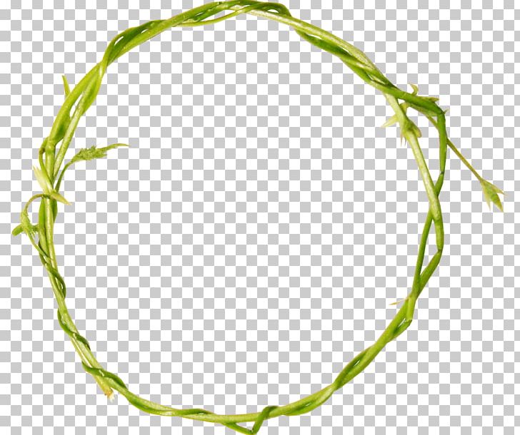 Green Line PNG, Clipart, Art, Branch, Grass, Green, Leaf Free PNG Download