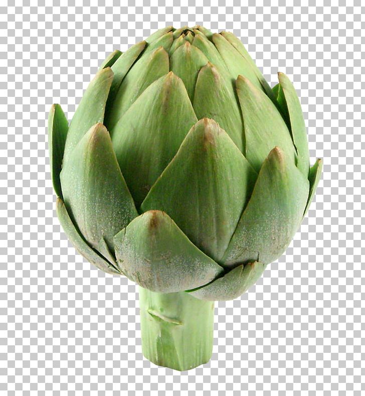 Artichoke Vegetable Food Grocery Store PNG, Clipart, Artichoke ...