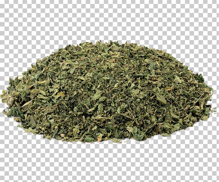 Green Tea Food Drying Herb Peppermint PNG, Clipart, Aonori, Baharat, Bancha, Biluochun, Common Sage Free PNG Download