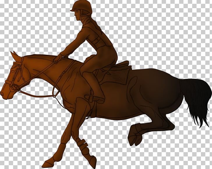 Hunt Seat Horse Mane Rein Stallion PNG, Clipart, Animals, Bit, Bridle, Cowboy, Cross Country Free PNG Download