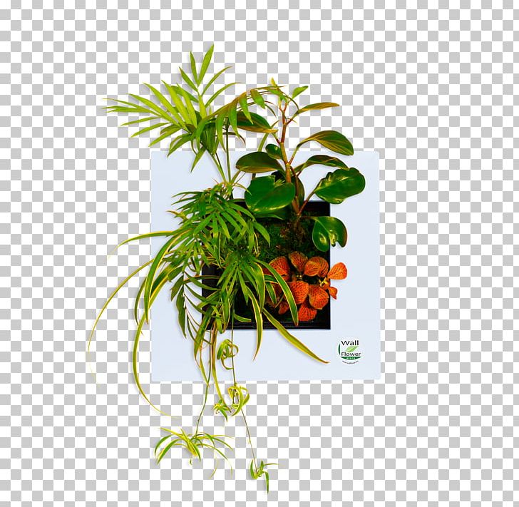 Leaf Flowerpot Houseplant Plant Stem Herb PNG, Clipart, Flowerpot, Herb, Houseplant, Leaf, Plant Free PNG Download