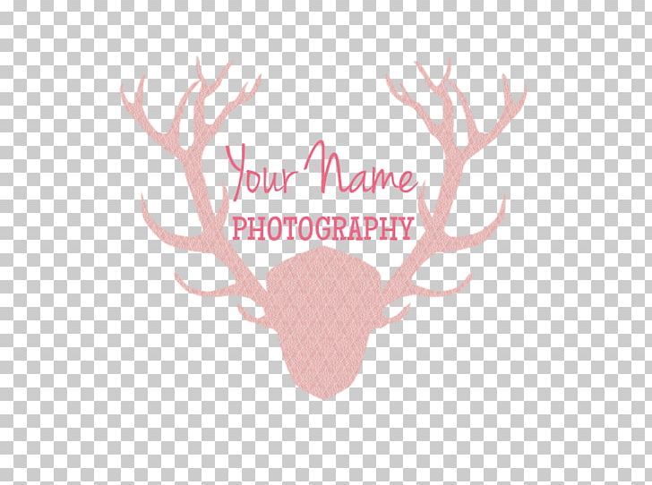 Logo Reindeer Photography Photographer PNG, Clipart, Antler, Cartoon, Deer, Download, Horn Free PNG Download