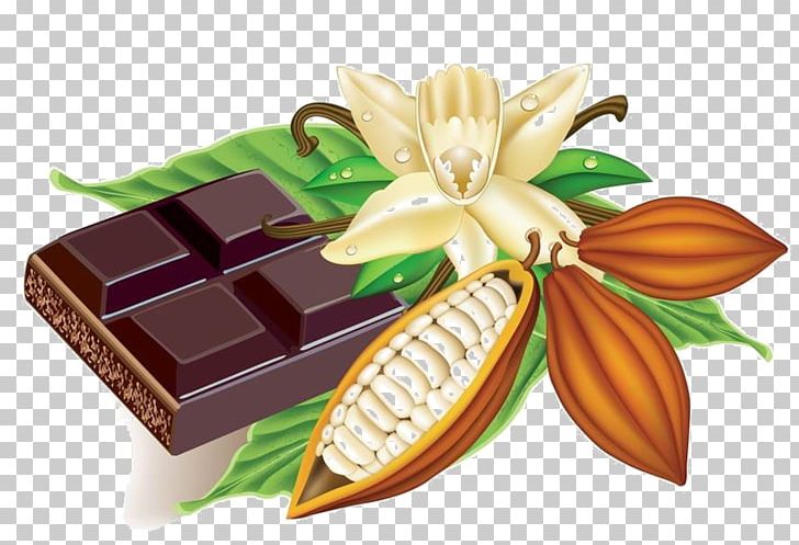 Cocoa Bean Hot Chocolate Cacao Tree PNG, Clipart, Chocolate, Cocoa Bean, Cocoa Solids, Computer Icons, Drawing Free PNG Download