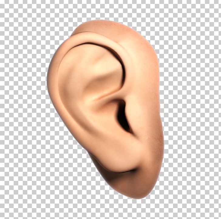 Ear PNG, Clipart, Ear Free PNG Download
