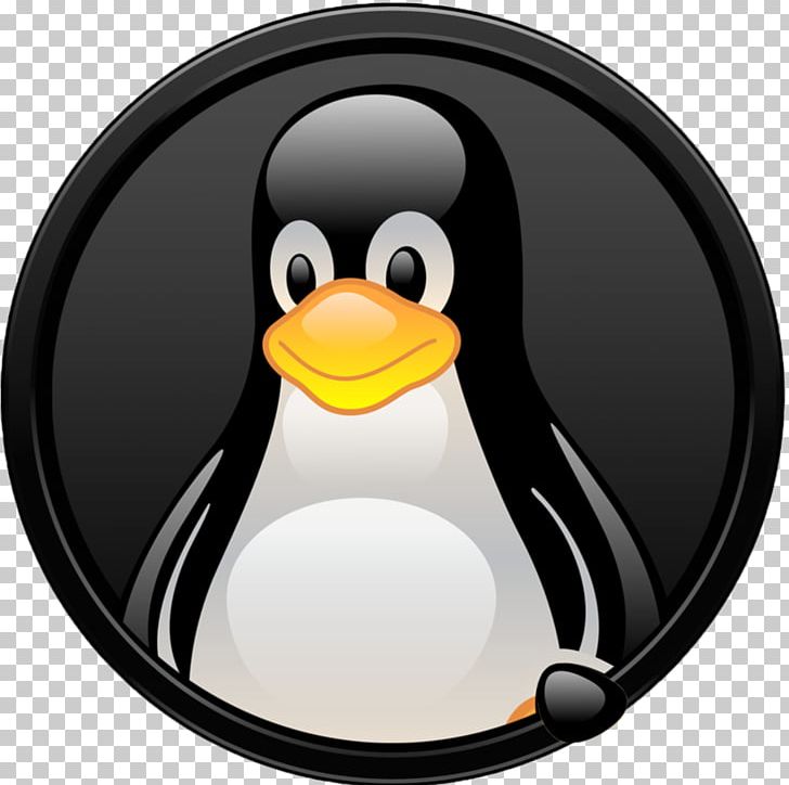 Linux Distribution Free And Open-source Software Open-source Model PNG, Clipart, Beak, Bird, Free And Opensource Software, Installation, Linux Free PNG Download