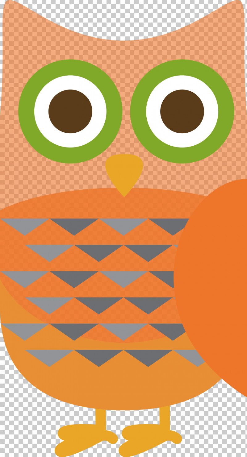 Cartoon Owl M Meter Beak Line PNG, Clipart, Beak, Cartoon, Cartoon Owl, Cute Owl, Line Free PNG Download