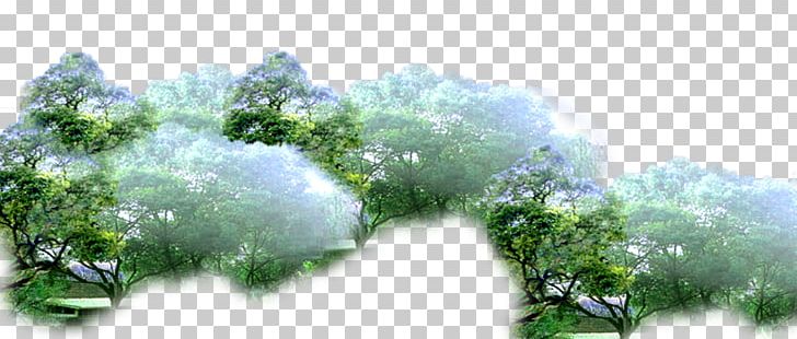 Branch Amazon Rainforest Tree PNG, Clipart, Black Forest, Branch, Download, Encapsulated Postscript, Fake Free PNG Download