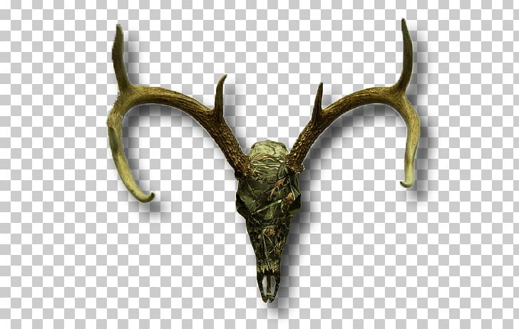 Elk Trophy Hunting PNG, Clipart, Antler, Deer, Deer Skull, Elk, Fauna Free PNG Download