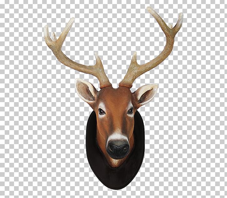 Reindeer White-tailed Deer Elk Animal PNG, Clipart, Animal, Animals, Animal Sauvage, Antler, Calf Free PNG Download