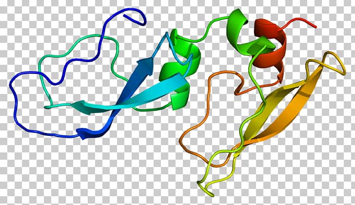 Alpha-1-microglobulin/bikunin Precursor Beta-2 Microglobulin Protein Inter-alpha-trypsin Inhibitor PNG, Clipart, Alpha, Alpha1microglobulin, Human, Human Behavior, Interalphatrypsin Inhibitor Free PNG Download