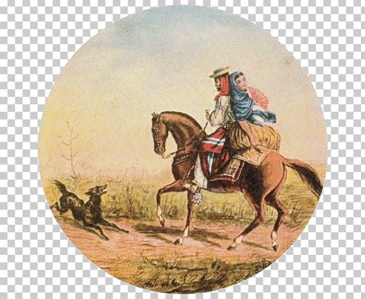 El Gaucho Pampas Cowboy PNG, Clipart, Argentina, Buenos Aires, Cowboy, Gaucho, Horse Free PNG Download