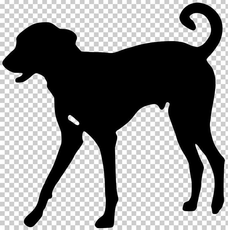 Greyhound Beagle Dobermann PNG, Clipart, Beagle, Black, Black And White, Carnivoran, Clip Art Free PNG Download