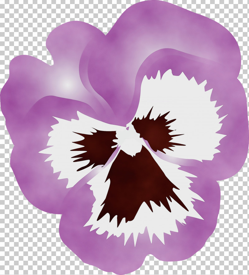 Violet Purple Flower Plant Petal PNG, Clipart, Cattleya, Flower, Heart, Iris, Magenta Free PNG Download