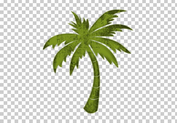 Arecaceae Tree Hyophorbe Lagenicaulis PNG, Clipart, Arecaceae, Arecales, Computer Icons, Fir, Flowerpot Free PNG Download