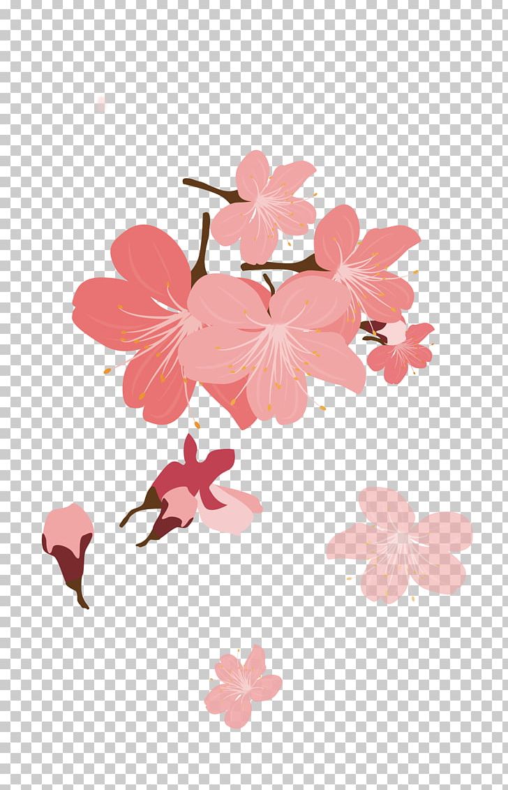 Cherry Blossom Petal Cerasus PNG, Clipart, Blossom, Branch, Cherry, Cherry Blossoms, Cherry Petals Free PNG Download