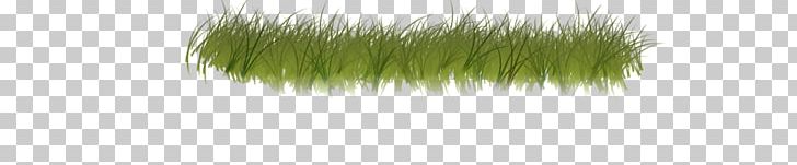 Hair Coloring Green Grasses Family PNG, Clipart, Family, Forest, Foundation, Grass, Grasses Free PNG Download