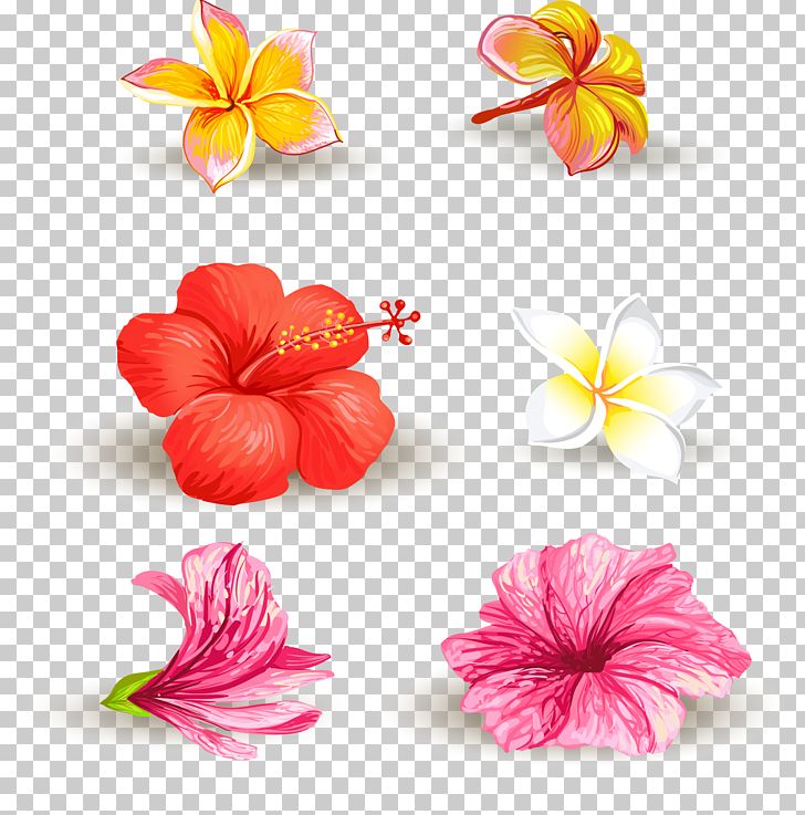 Hand-painted Flowers PNG, Clipart, Cartoon, Design, Encapsulated Postscript, Flower, Flower Arranging Free PNG Download