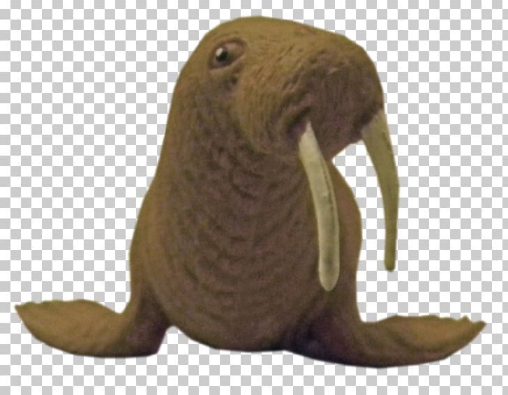 Walrus Display Resolution PNG, Clipart, Animal, Animals, Beak, Big Bang Theory, Campsite Free PNG Download