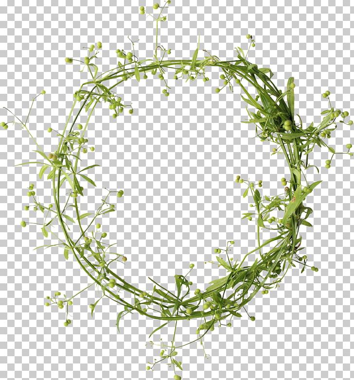 Wreath PNG, Clipart, Branch, Circle, Depositfiles, Download, Flora Free PNG Download