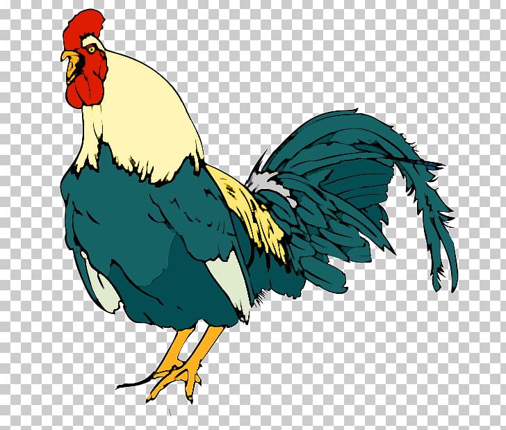 Rooster Chicken PNG, Clipart, Animals, Artwork, Beak, Bird, Blog Free PNG Download