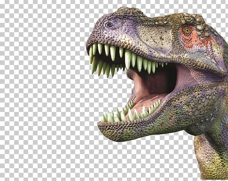 Tyrannosaurus Triceratops Dinosaur Incroyable T. Rex: Avec Une Maquette De T. Rex En 3D Stegosaurus PNG, Clipart, Bonnet, Cap, Carnotaurus, Dinosaur, Fantasy Free PNG Download