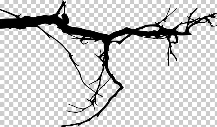 Branch Tree Silhouette PNG, Clipart, Art, Artwork, Black And White ...