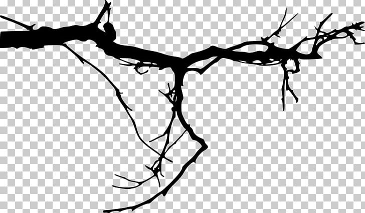 Branch Tree Silhouette PNG, Clipart, Art, Artwork, Black And White, Branch, Flora Free PNG Download