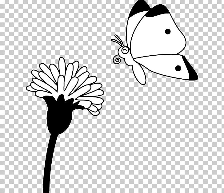 Butterfly Line Art Insect PNG, Clipart, Artwork, Black, Black And White, Branch, Cartoon Free PNG Download