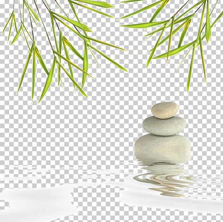 Still Life Photography Desktop Water PNG, Clipart, Bamboo, Bamboo Leaf, Branch, Computer, Computer Wallpaper Free PNG Download