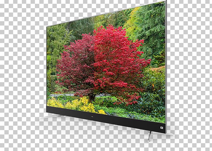 TCL C7006 Ultra-high-definition Television 4K Resolution Smart TV PNG, Clipart, 4k Resolution, Android, Computer Monitor, Display Device, Display Resolution Free PNG Download