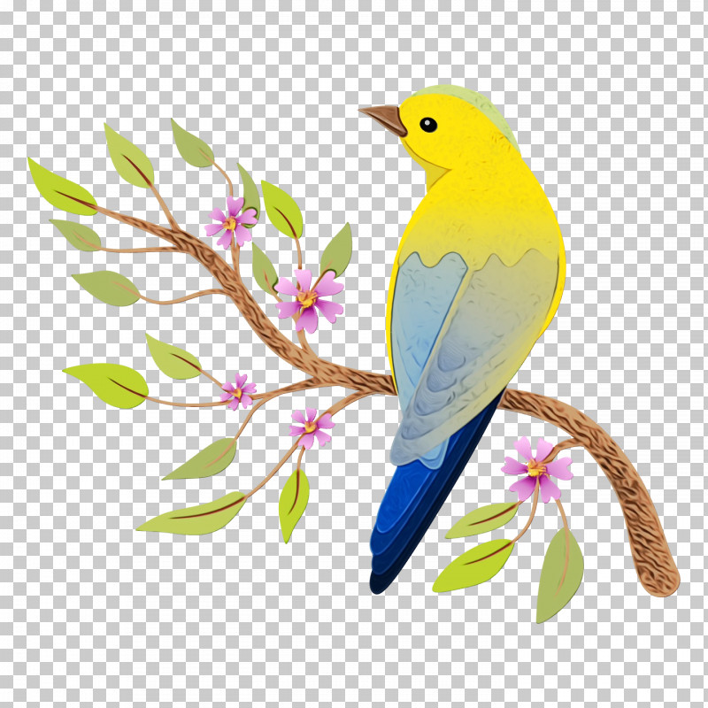 Feather PNG, Clipart, Beak, Feather, Flower, Lilac, New World Orioles Free PNG Download