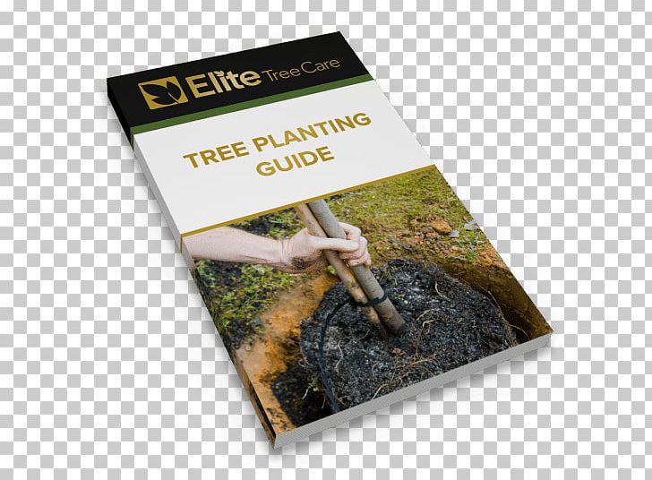 Elite Tree Care PNG, Clipart, Advertising, Arborist, Blue Spruce, Cutting, Disease Free PNG Download