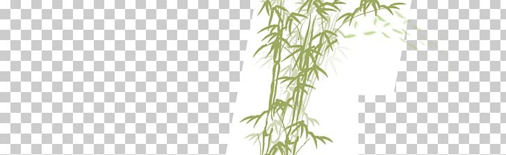 Twig Flora Plant Stem Font PNG, Clipart, Area, Background Green, Bamboo, Branch, Cafepress Free PNG Download
