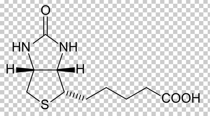 Biotinylation Dietary Supplement Avidin Coenzyme PNG, Clipart, Angle, Avidin, Biotin, Biotinidase Deficiency, Biotinylation Free PNG Download