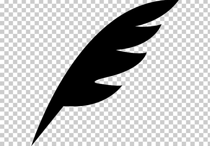 Bird Wing PNG, Clipart, Animals, Beak, Bird, Black, Black And White Free PNG Download