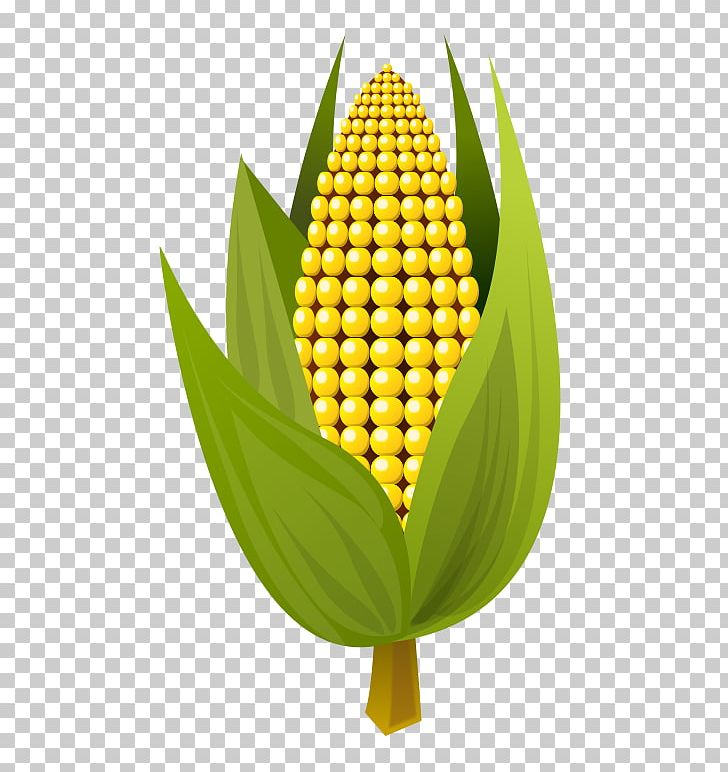 Corn On The Cob Maize Ear PNG, Clipart, Commodity, Corncob, Corn On The Cob, Ear, Fruit Free PNG Download