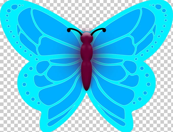 Moth Turquoise Symmetry Microsoft Azure PNG, Clipart, Arthropod, Azure, Butterfly, Electric Blue, Insect Free PNG Download