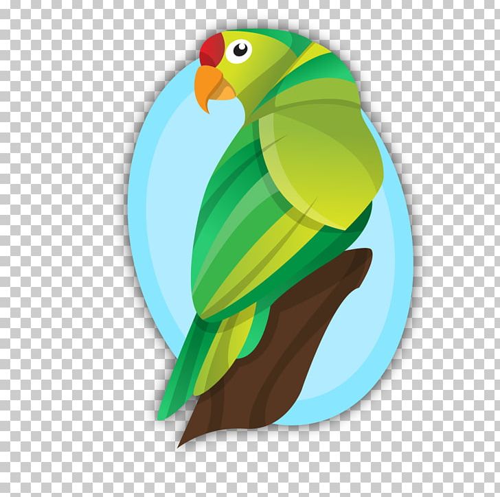 Parrot Bird PNG, Clipart, Animal, Animals, Balloon Cartoon, Beak, Cartoon Free PNG Download