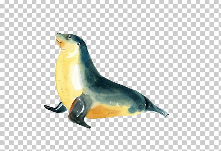 Sea Lion Earless Seal Creative Watercolor Watercolor Painting PNG, Clipart, Animal Painter, Animals, Art, Artist, Beak Free PNG Download