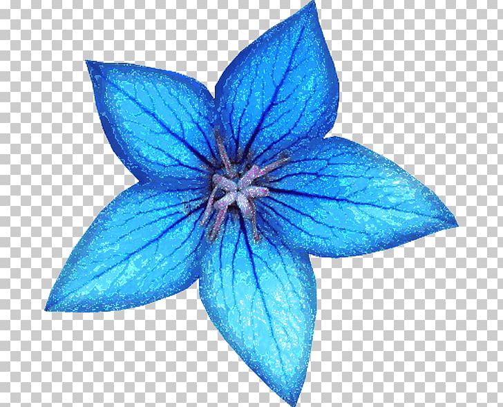 Blue Flower Bouquet White PNG, Clipart, Blue, Color, Cut Flowers, Florist, Flower Free PNG Download