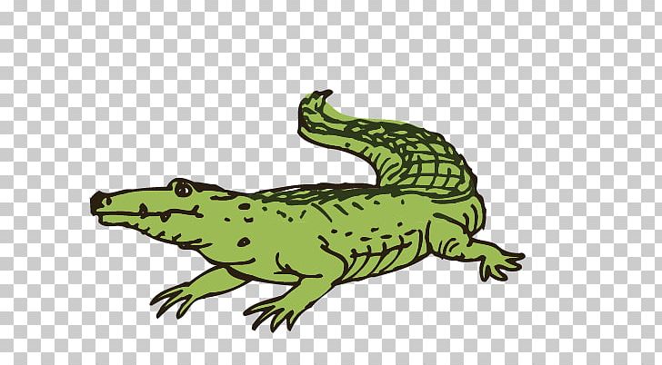 Crocodile Euclidean Computer File PNG, Clipart, Adobe Illustrator, Amphibian, Animals, Cartoon, Cartoon Crocodile Free PNG Download