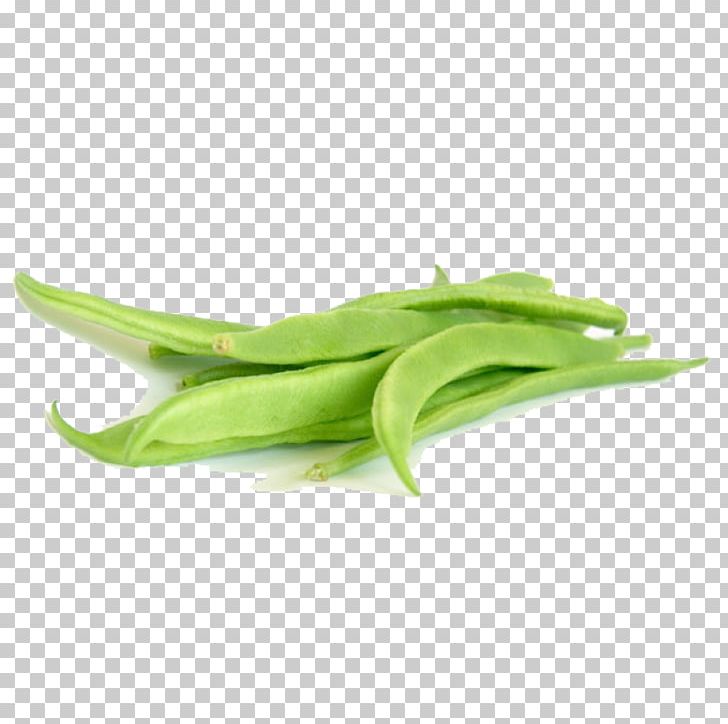 Green Bean Vegetable Flat Bean PNG, Clipart, Baby Corn, Bean, Beans, Canned Tomato, Dish Free PNG Download